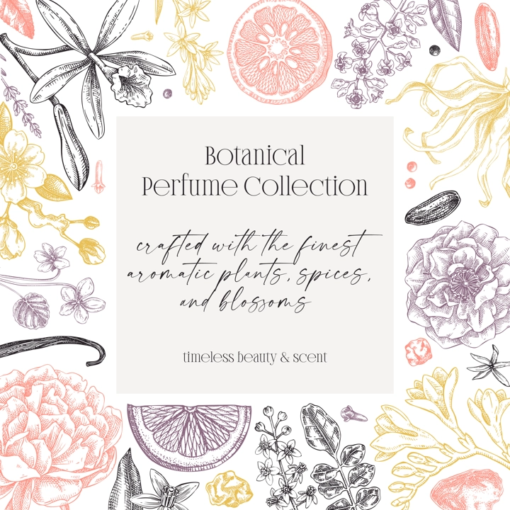 Perfumery ingredients frame design. Aromatic plants and flowers hand drawn vector illustration. Gift card, floral invitation, book cover, flyer template. NOT AI generated
